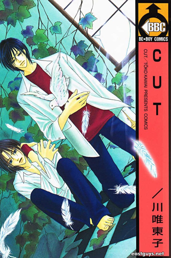 gay Yaoi manga cut